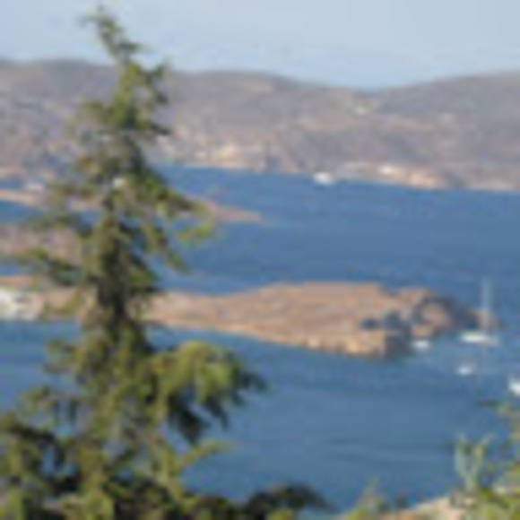 Meet your Posher, Cheryl - Picture 1 of 1